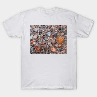 'Seashells & Sand' T-Shirt